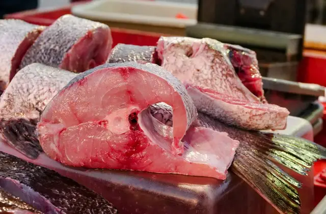 Poissons et filets