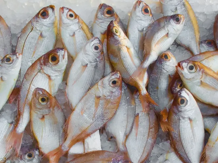 Reconnaître un poisson vraiment frais