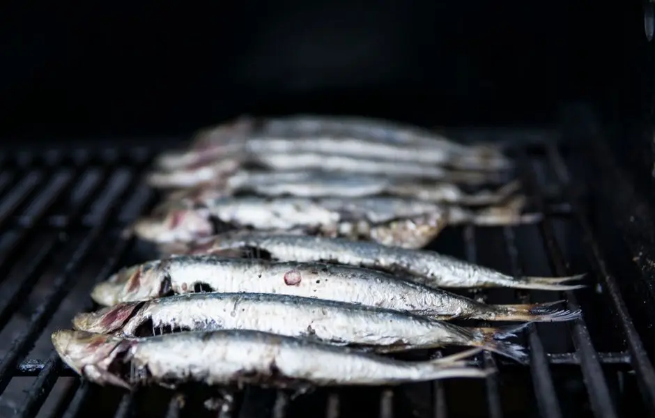 Sardines et maquereaux, poissons oubliés